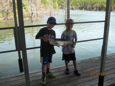 Nice Striped Bass